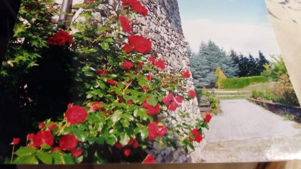 Villa Casa San Martino Teglio Exterior foto